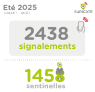 Les signalements de l'été 2025
